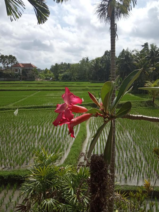 Bella Villas Ubud Exterior foto